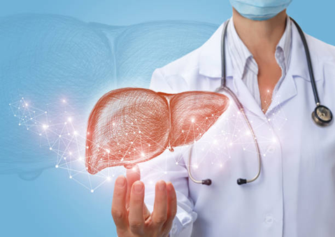 Best Liver Doctor